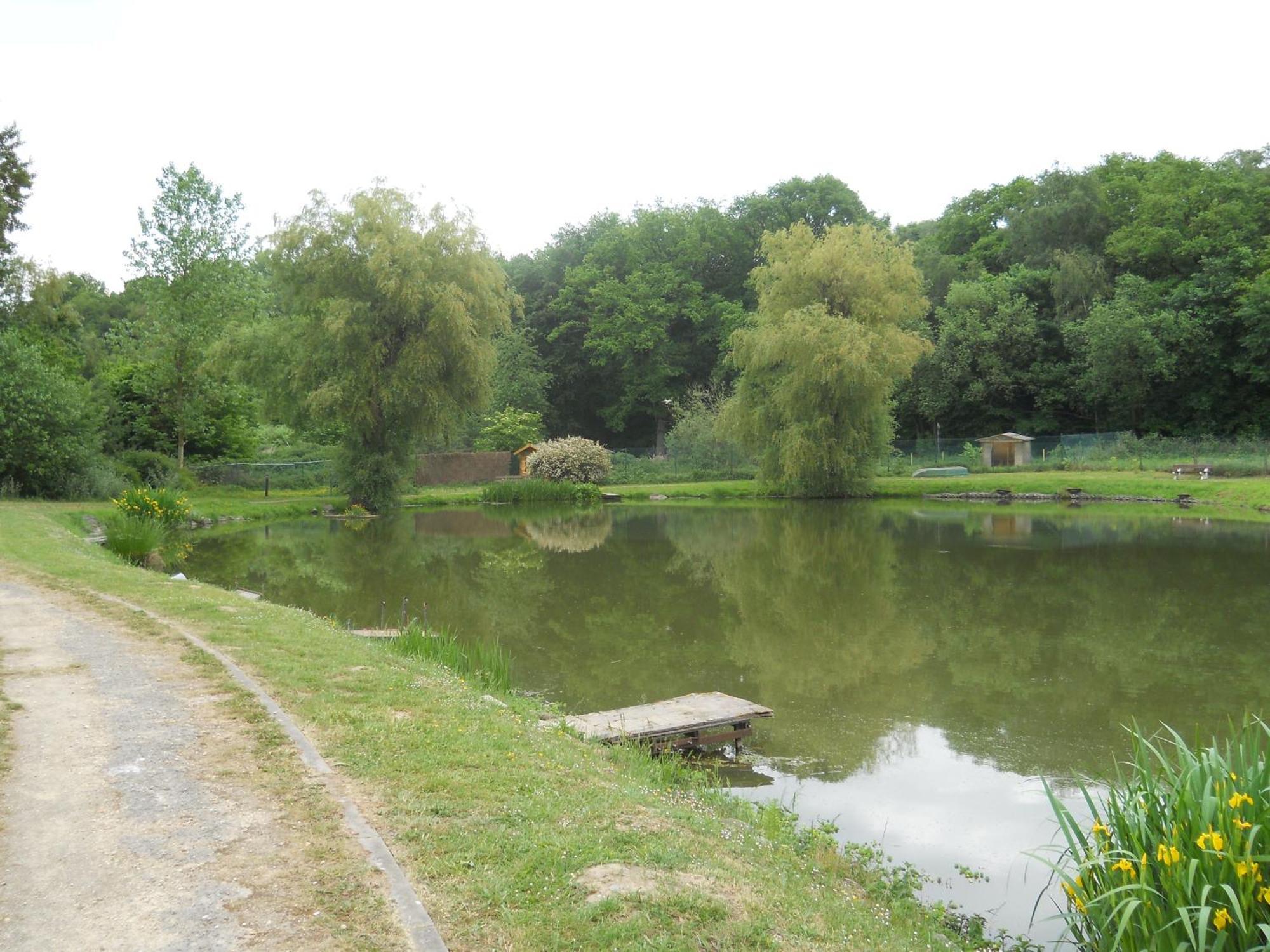 Le Relais De La Haute Sambre Lobbes Exteriör bild